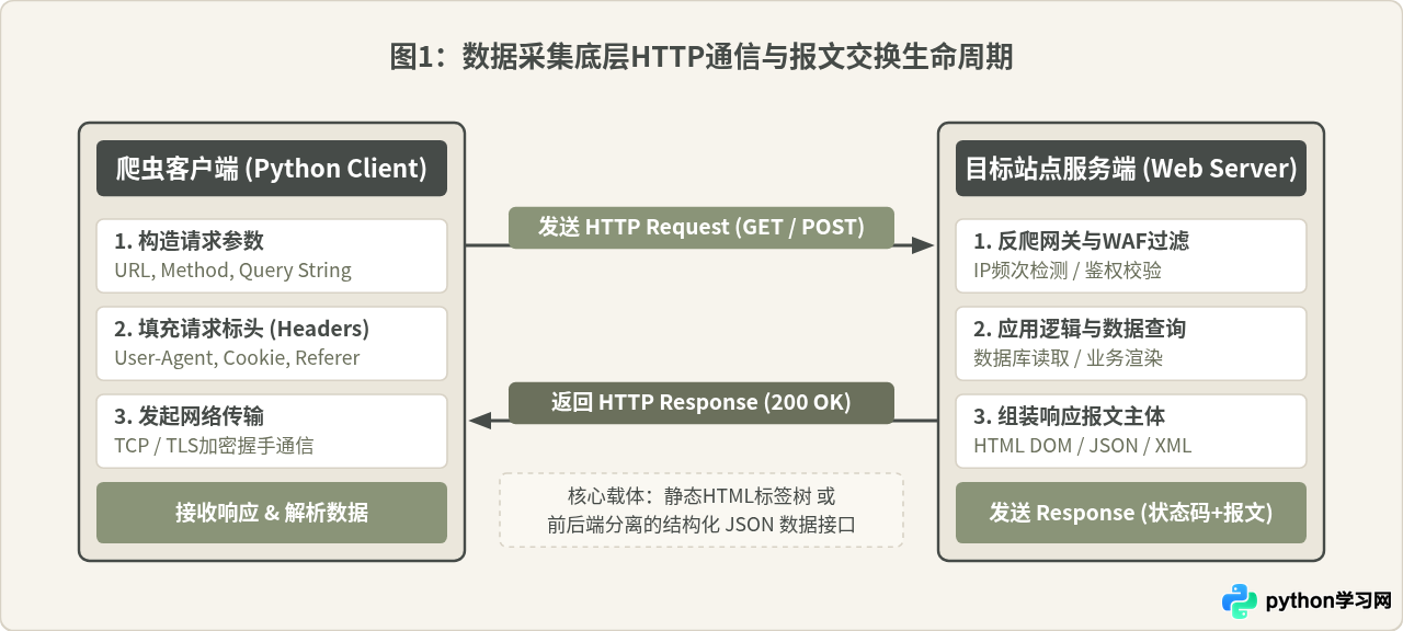Python网络爬虫开发怎么做？数据采集原理与工具推荐