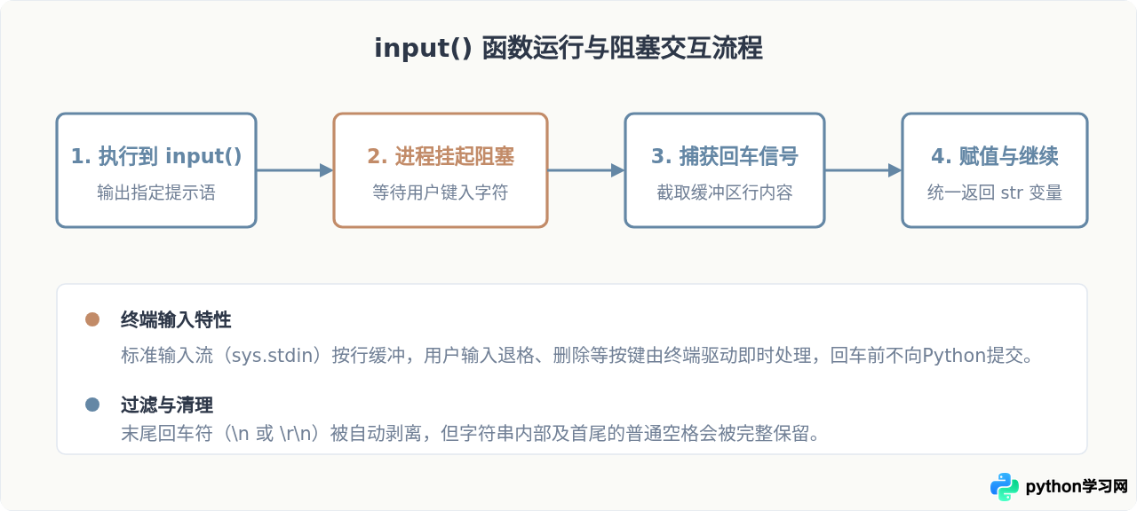 Python input()函数基础用法：获取用户输入与提示语设置