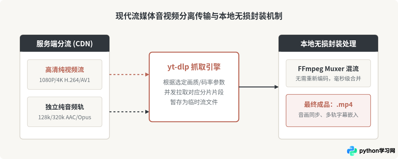 怎么把Python视频教程下载到本地离线观看
