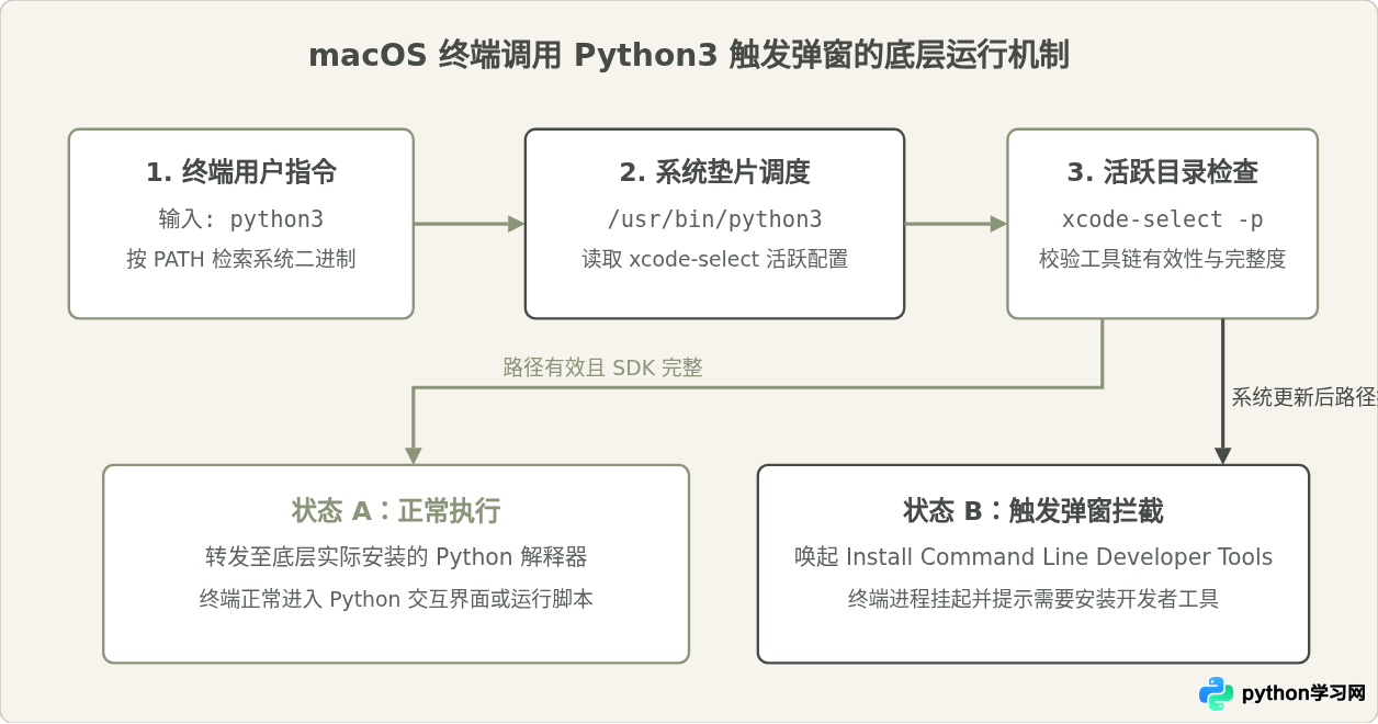 macOS系统更新后Python3再次提示安装命令行开发者工具的修复方法