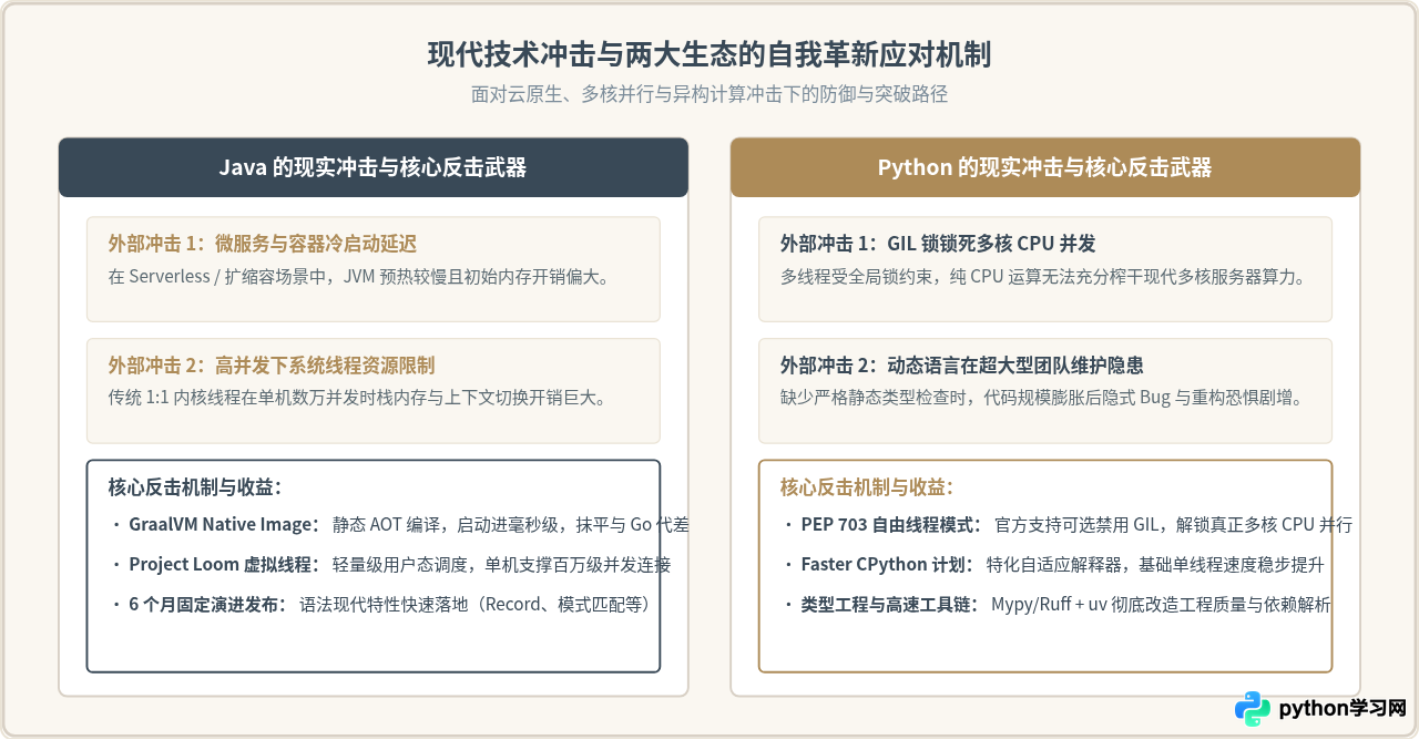 Python和Java生态稳定性对比：未来会被淘汰吗