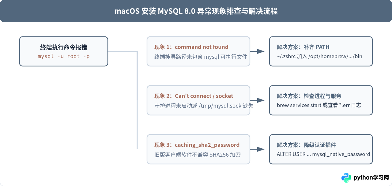 macOS安装MySQL 8.0：Homebrew命令与DMG安装包步骤