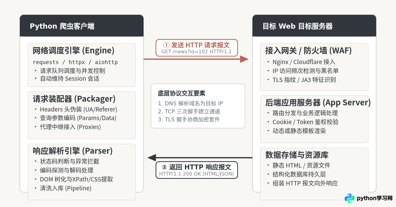 Python爬虫工作原理：从发送请求到数据解析的完整流程