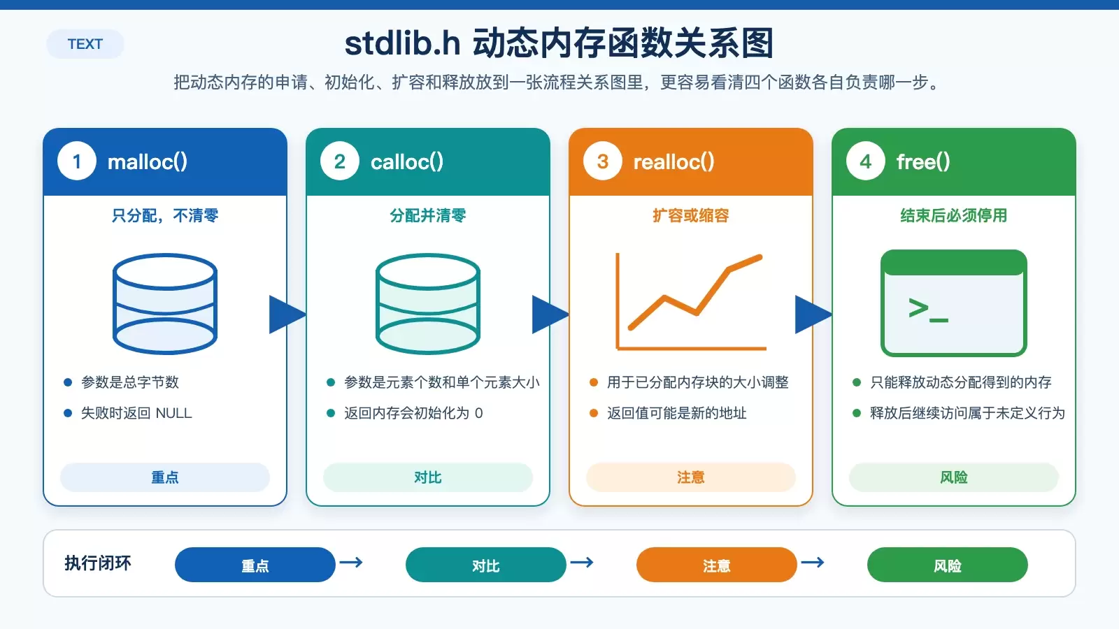 展示 malloc、calloc、realloc、free 四个函数在动态内存生命周期中的位置与区别。