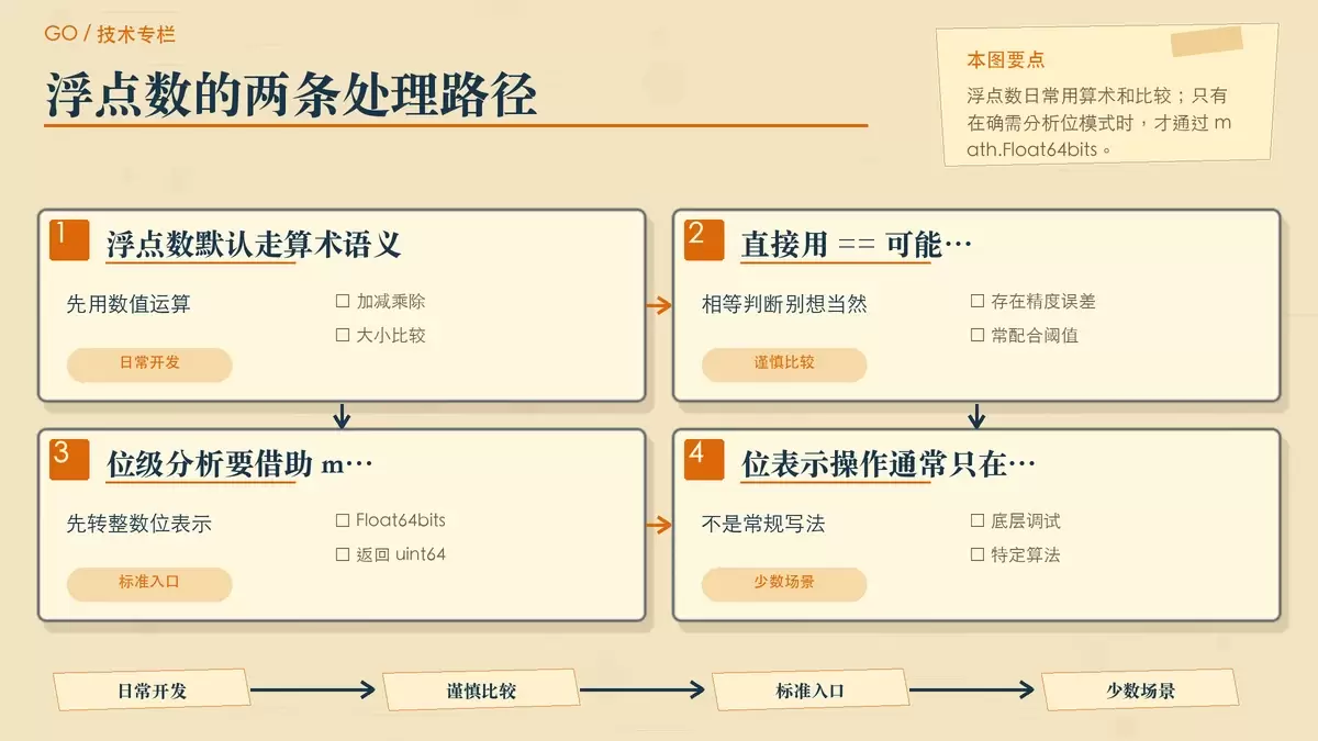 展示浮点数正确操作方式与需要查看位表示时的标准路径。