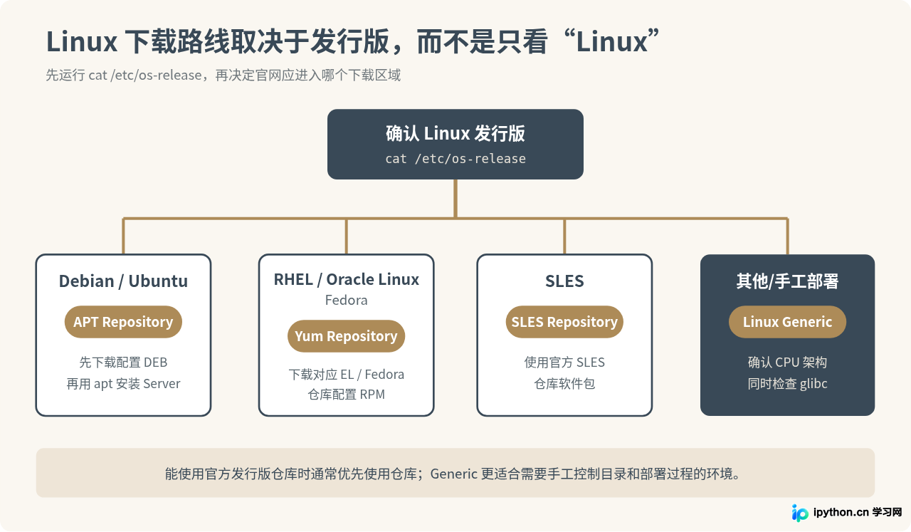 SVG 配图 3