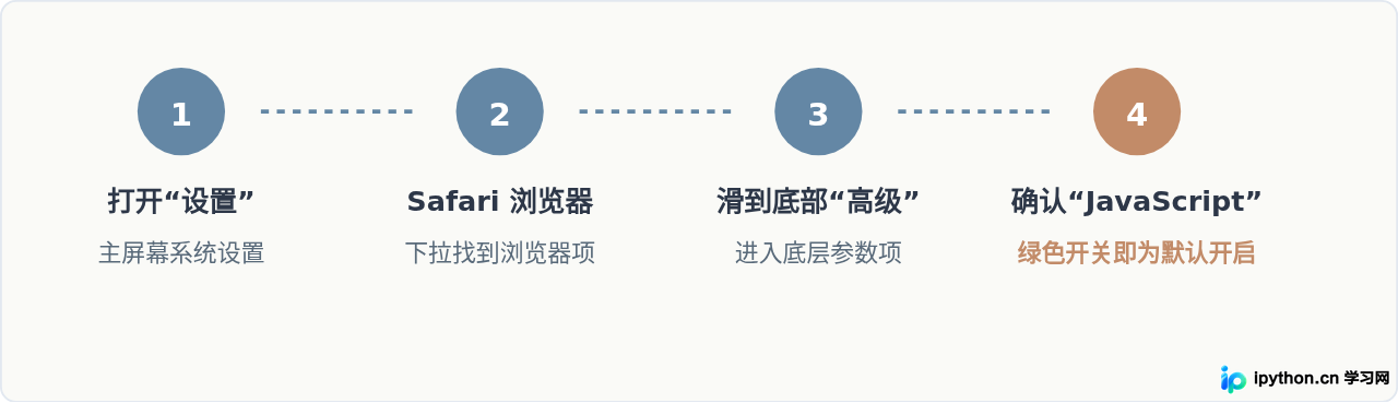 iPhone设置中查看JavaScript状态的操作步骤流程