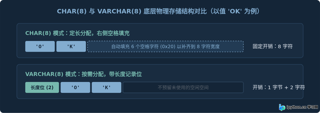 SVG 配图 1