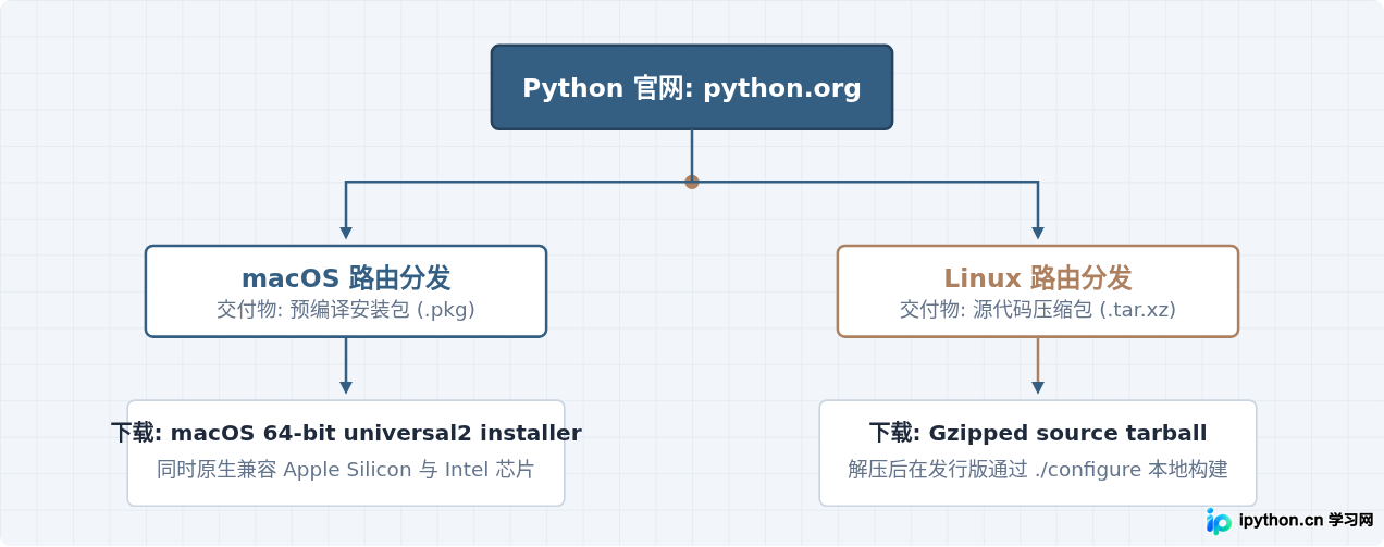 SVG 配图 1
