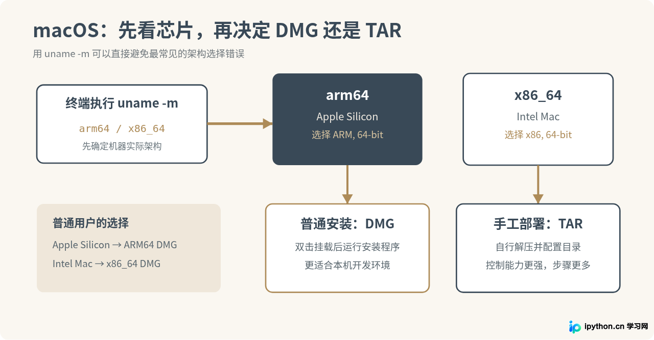 SVG 配图 2