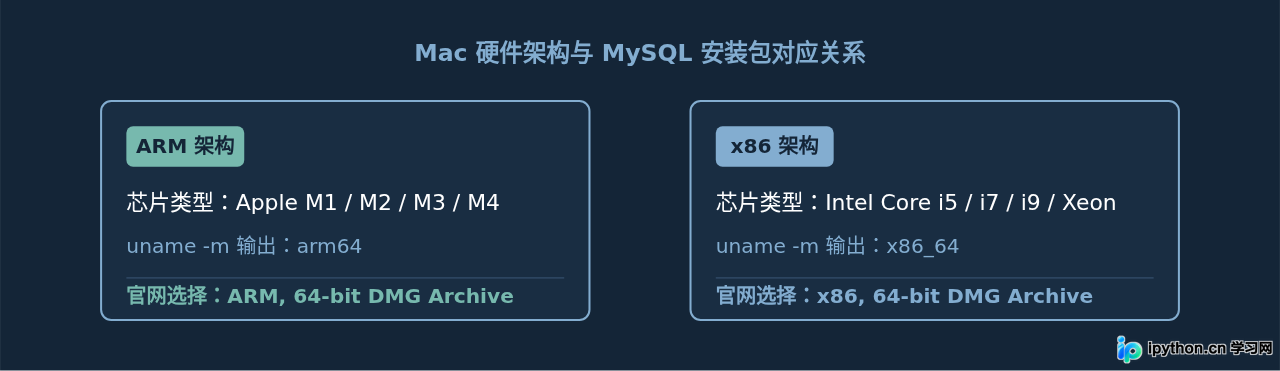 SVG 配图 2