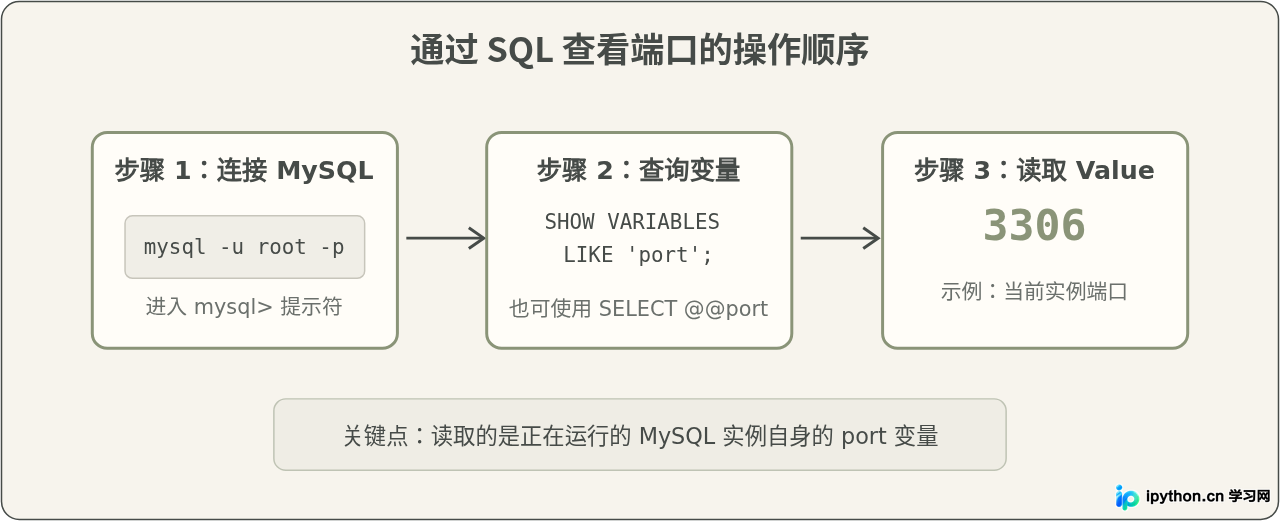 SVG 配图 2