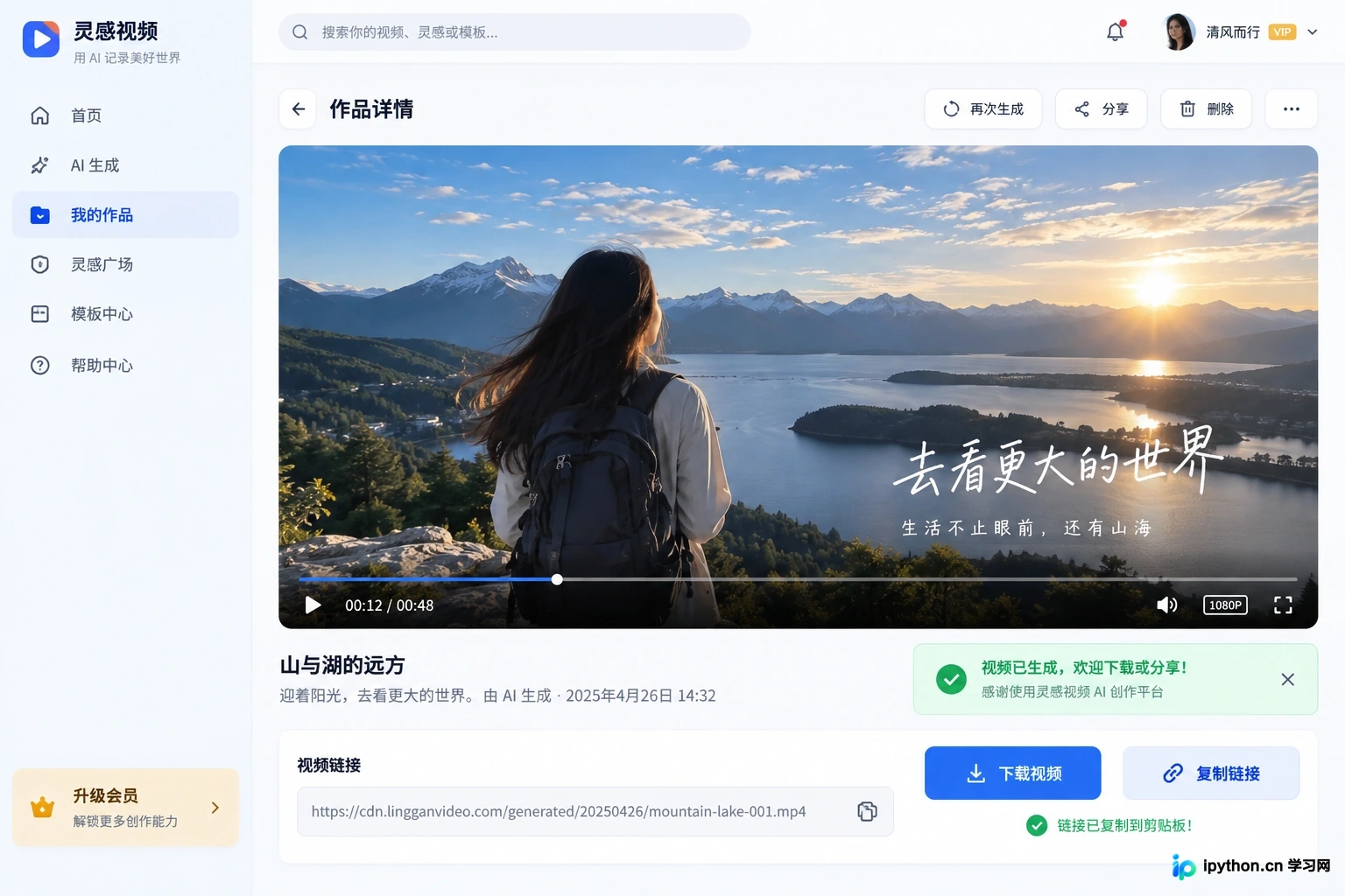 成功获取视频URL后的展示效果