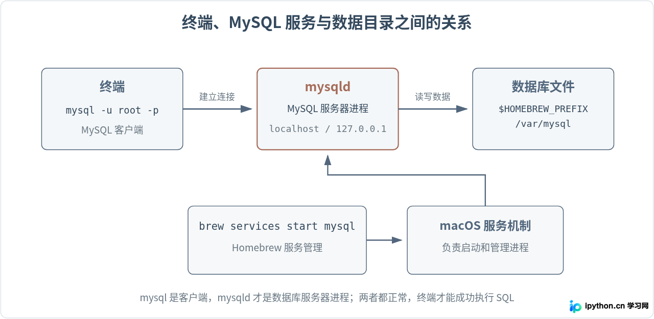 SVG 配图 3