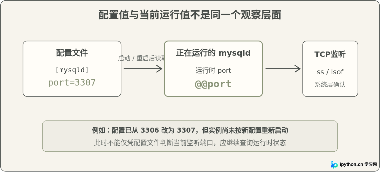 SVG 配图 4