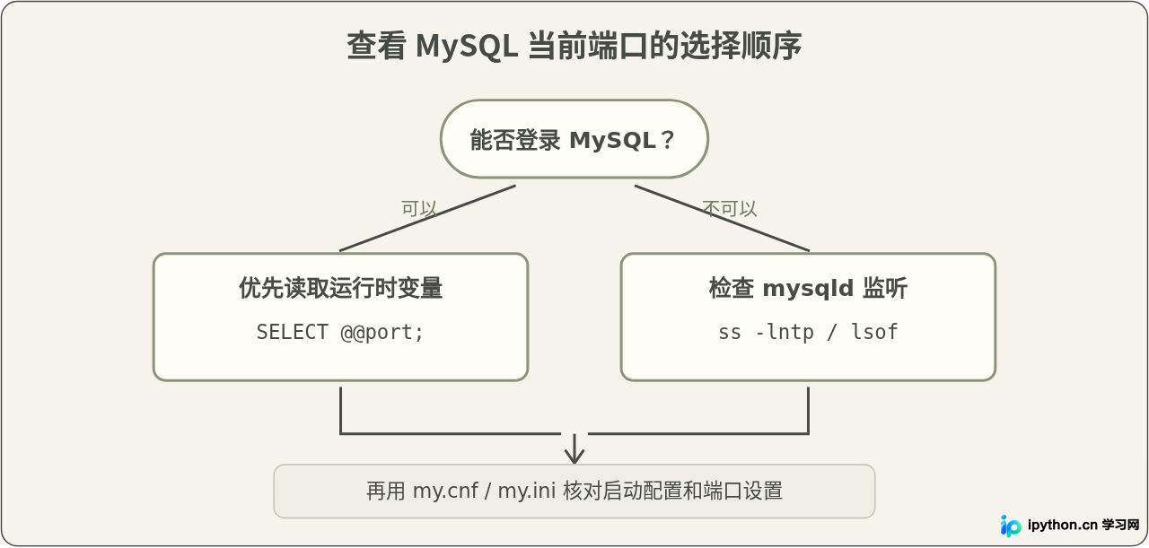 SVG 配图 5