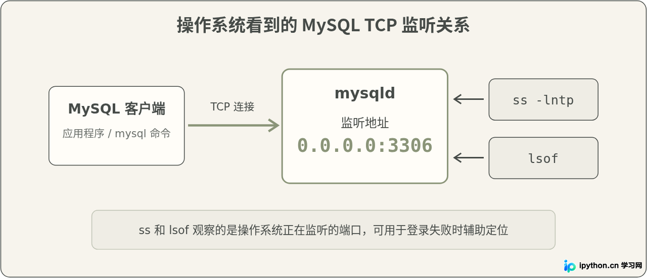 SVG 配图 3