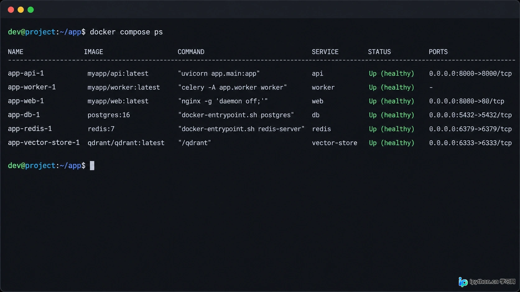 使用 docker compose ps 查看所有服务运行状态