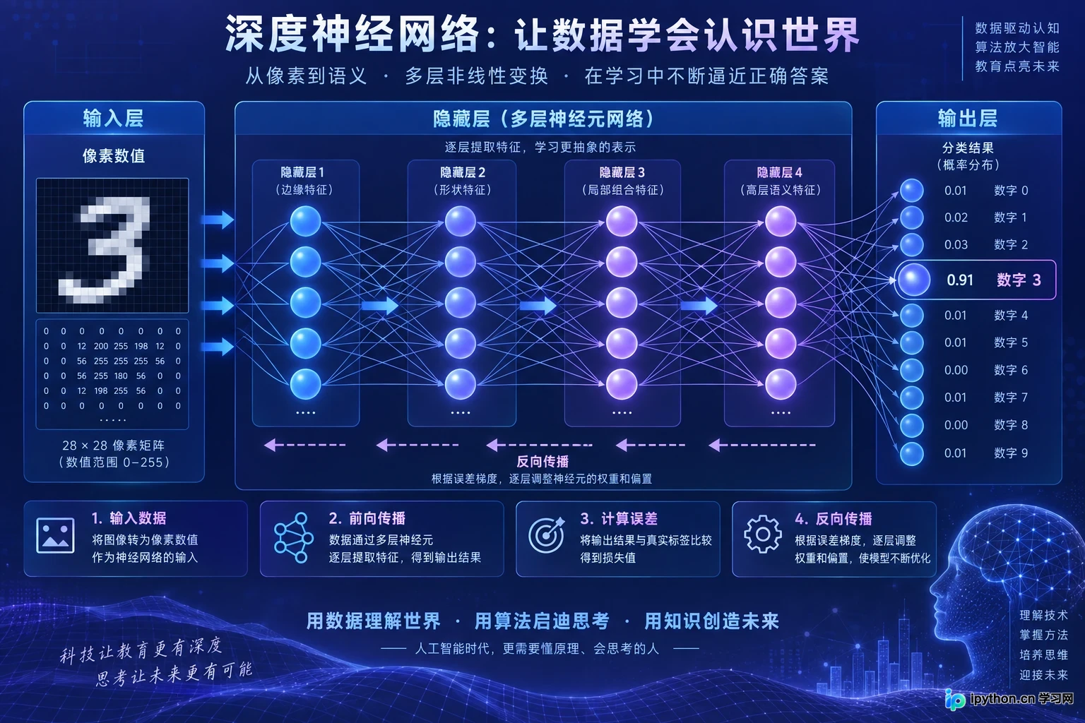 从输入层到输出层的神经元连接与数据流动