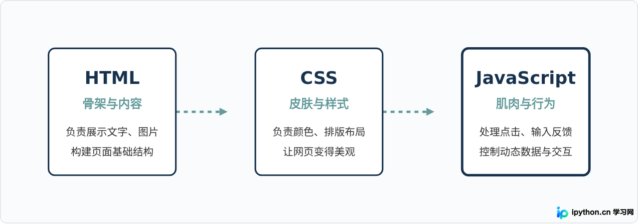 JavaScript是什么意思?前端开发中的核心脚本语言