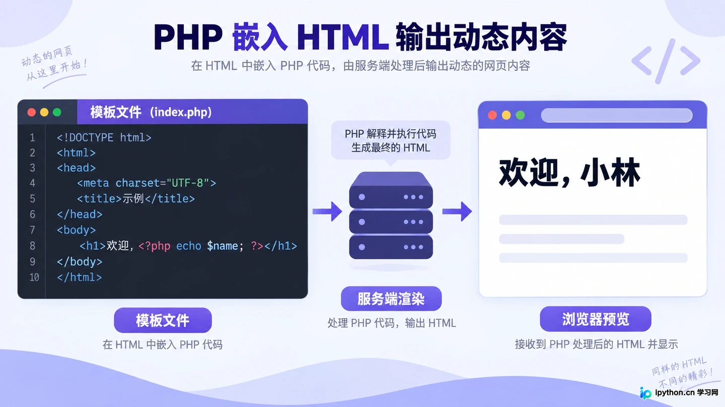 PHP与Python、Java怎么选：后端语言对比及学习建议