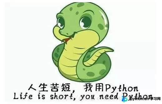 Python入门指南:核心特性与多平台安装教程
