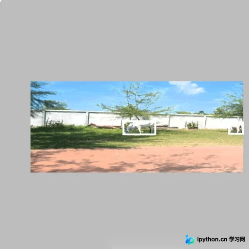 应用数据增强后的标注对应图