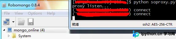 代理服务器转发日志截图