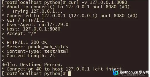 curl 请求本地服务器返回完整响应报文截图