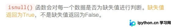 isnull函数标记出的缺失值行位置示意图