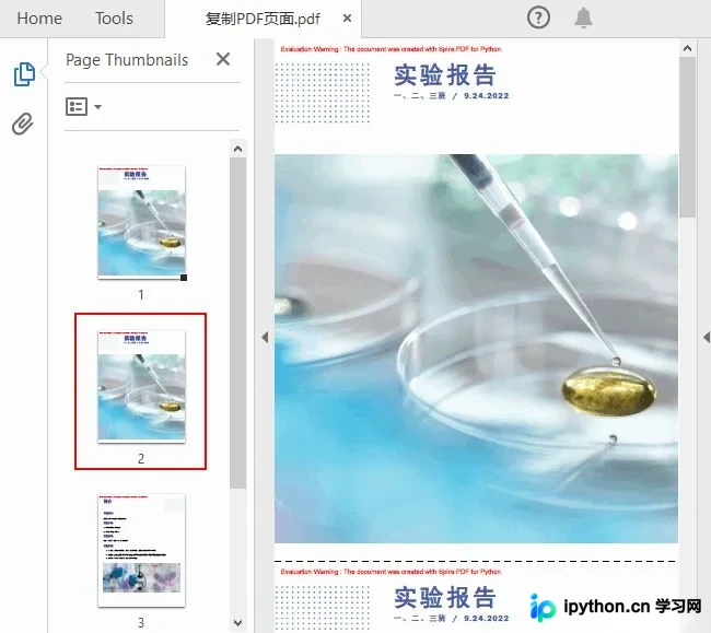 同文档内复制页面功能的运行环境及代码窗口截图