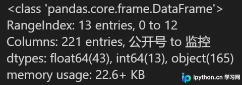 DataFrame默认info输出的控制台摘要截图