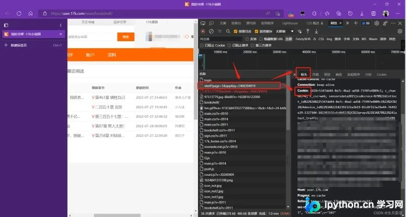 请求详情面板中显示带Cookie值的Headers信息