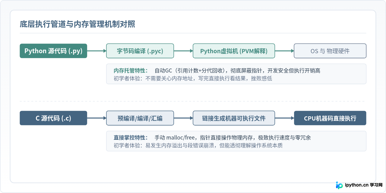 初学者先学Python还是C语言？学习曲线与就业前景对比