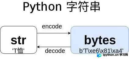 Python 3 中 str 与 Bytes 的核心区别及转换详解