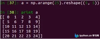 Python多维数组切片详解：冒号与省略号（...）的高级用法