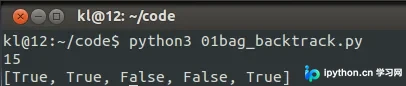 Python回溯法求解01背包问题实战解析