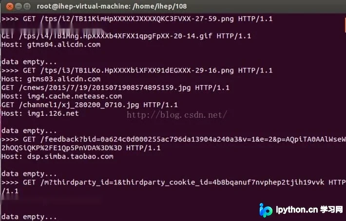 Python调用tcpdump与grep实现高效抓包过滤