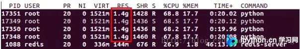 Python多进程内存复制问题与优化方案