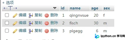 使用Python Flask框架查询数据库并展示数据