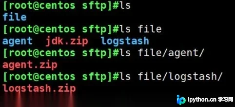 Python使用Paramiko自动下载SFTP文件完整示例