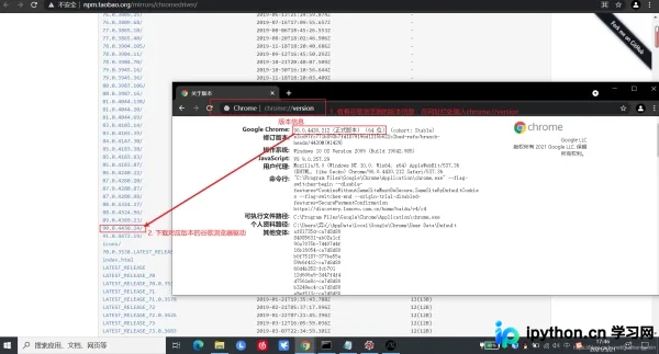 Python Selenium库安装与浏览器驱动配置详解