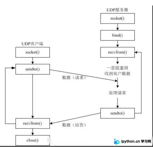 Python UDP Socket编程详解：创建、发送与接收实战