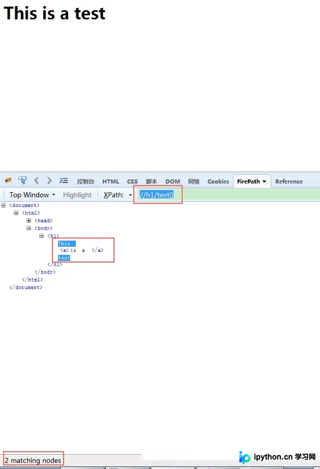 Python lxml etree 实战：HTML解析与文本提取技巧