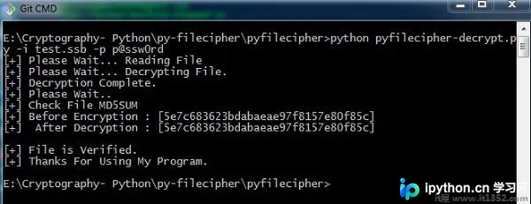 Python 密码学文件解密实现教程