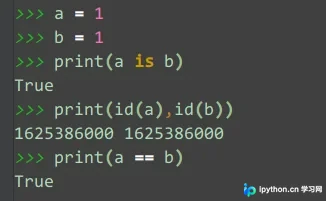 Python接口测试封装：深入理解is与==运算符