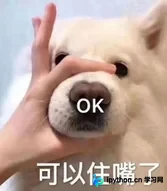 Python调用摄像头拍照并通过SMTP自动发送邮件