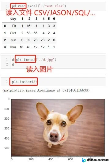 Jupyter Notebook 读取与导出文件及图片完整指南