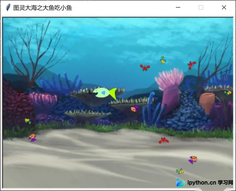 Python实战之大鱼吃小鱼游戏的实现