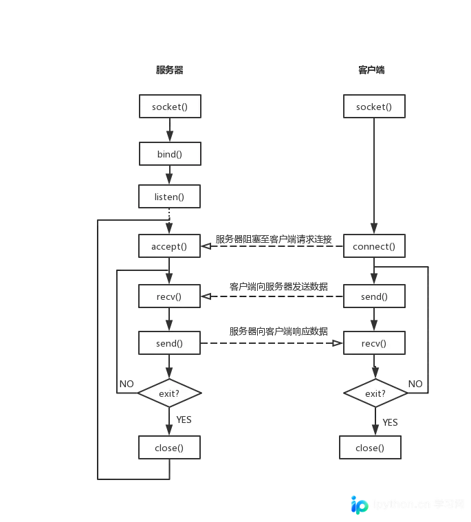 Python TCP编程详解：从原理到代码实现
